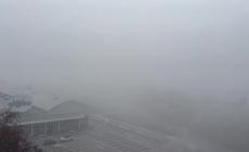 La nebbia ha "abbracciato" Parma: dall'immagine poetica ai consigli pratici per muoversi in sicurezza - Video e foto