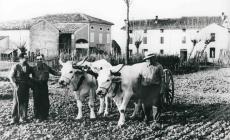 "C&rsquo;era una volta, il lavoro. Memoria di botteghe, campi ed officine": mostra di foto a Palazzo Giordani 