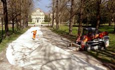 Parco Ducale, "lavori in corso": percorsi riqualificati, 36 nuovi alberi e maggiore fruibilit&agrave;