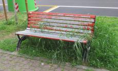 &laquo;In via Picasso le panchine sono poco&hellip; invitanti&raquo;