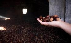 A Filattiera "castagneti al centro" con la due-giorni di Slow Food