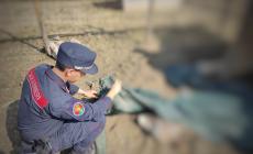 Fattoria degli orrori, numeri choc:  ritrovate quaranta carcasse di animali