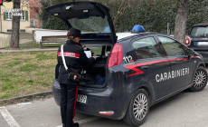 Notte folle a Fornovo: disturba e litiga con i passanti, poi cerca di sfondare a calci le porte di due negozi. 35enne denunciato 