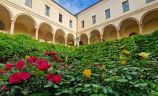 Giornate Fai di Primavera: sei veri &laquo;tesori&raquo; da scoprire  - La mappa delle aperture