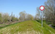 Scatta la chiusura dell'argine del Tombone fra Polesine Zibello e Roccabianca