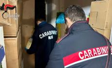 Ragnatele e polvere, alimentari conservati in modo non adeguato: attivit&agrave; sospesa per 10 giorni per un market etnico 