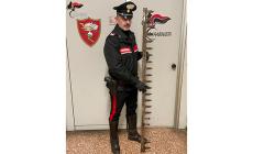 Litiga con un conoscente e lo ferisce con la lama di una falciatrice: denunciato 50enne a Parma