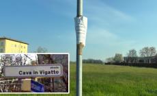 Carignano, allarme bocconi avvelenati: casi di cani intossicati 
