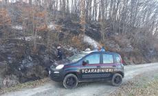 Brucia residui vegetali e provoca un incendio vasto 11.300 metri quadrati: individuato dai Forestali a Neviano - Fuochi e boschi: le regole