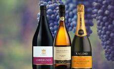 I top seller del vino nella Gdo dell'Emilia-Romagna