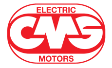 Oggi e Domani: la Forza di una Squadra