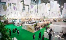 Domani si apre Vinitaly. Sos enoturismo, il mondo del vino cerca risposte - C'&egrave; anche Parma