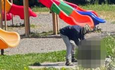 Choc a Sarzana, uccide un gatto nel parco e cerca di cucinarlo: denunciato