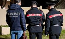 Traversetolo, blitz dei carabinieri: maxi-multa a un bar per carenze di sicurezza e controlli sul gioco d'azzardo