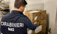 Il Nas di Parma sospende un ristorante etnico 