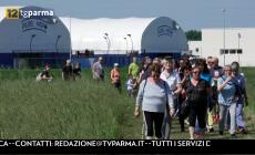 Tantissimi in cammino con "Tommy nel cuore"  