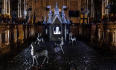 Spunta "Il castello" in Municipio: cos&igrave; Lenz fa riflettere sui temi dell'olocausto e della resistenza