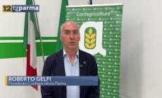 Confagricoltura Parma, Roberto Gelfi confermato alla presidenza 