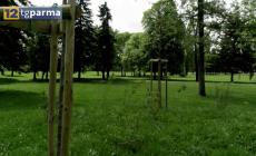 Verde pubblico a Parma: 1.800 nuovi alberi e 585 giochi per bambini nel 2025 - Video