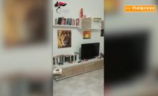 Messina Denaro, il latitante da 10mila euro al mese - Ecco il video del covo del padrino