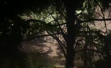 Parma, una lettrice: "I mezzi della raccolta rifiuti  arrivano di notte e sono rumorosissimi"