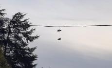 Via Mordacci, tolte le scarpe volanti dal parco Testoni