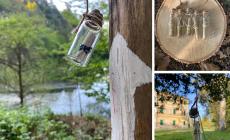 Caccia al tesoro (ecologico) nel bosco