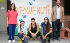Open day al gattile: tanti mici in cerca di casa ti aspettano - Fotogallery