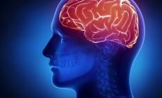 Il cervello non invecchia tutto insieme, c'è un punto caldo