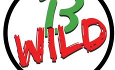 B-Wild – Storie di viaggio