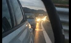 Code sull'A15, in direzione Parma:  3 chilometri  tra gli svincoli di Pontremoli  e Berceto
