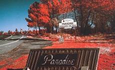 Il Paradiso trasformato in inferno di fuoco, i ritratti, i racconti di vita: ultimo weekend di Fotografia Europea - Foto