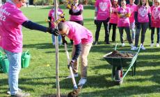 Chiesi, volontariato aziendale a favore di KilometroVerdeParma