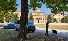 Controlli della polizia in città: sequestrata droga in via Palermo, al Parco Ducale e al Parco Falcone e Borsellino