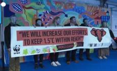 Cop26, il flash mob del Wwf a Glasgow: "Non dimenticheremo le vostre promesse"