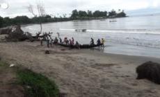 Camerun, una balena di bottiglie di plastica contro l'inquinamento marino