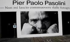 Mostre: a Genova un percorso su Pier Paolo Pasolini