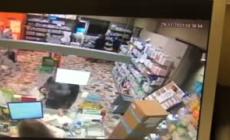 Encomio per eccezionale coraggio al carabiniere accoltellato a Torino mentre sventava una rapina