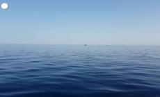 Draghi: "Flussi legali di migranti sono risorsa, non minaccia"