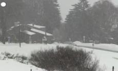 Francia, il dipartimento della Loira sotto la neve