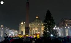 L'albero di Natale e il presepe allestiti in piazza San Pietro - Video
