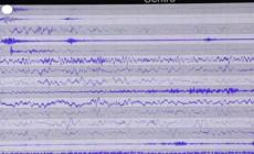 Terremoti, la placca adriatica spinge: l'Europa si muove di 1 mm all'anno