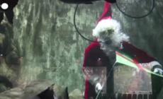 Messico, Babbo Natale nuota tra i pesci di un acquario