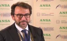 Ambasciatore Lucentini: "Il fatturato annuo delle aziende italiane in Argentina ammonta a 11 miliardi di euro"