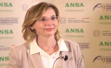 Ambasciatrice Flumiani: "Rapporti eccellenti tra Italia e Slovacchia, nostre aziende molto ben inserite nel tessuto locale"