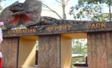 Australia, Babbo Natale da' da mangiare a coccodrilli e koala allo zoo di Somersby