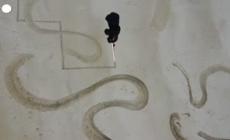 A Honk Kong un artista trasforma le spiagge in gigantesche tele