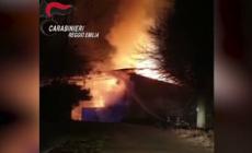 Fienile a fuoco nel Reggiano, distrutte 300 rotoballe