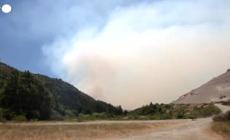 L'Argentina combatte gli incendi boschivi della Patagonia