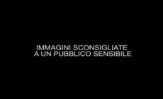 Atterra con l'aereo sui binari, salvato 5 secondi prima dell'impatto con il treno - Video